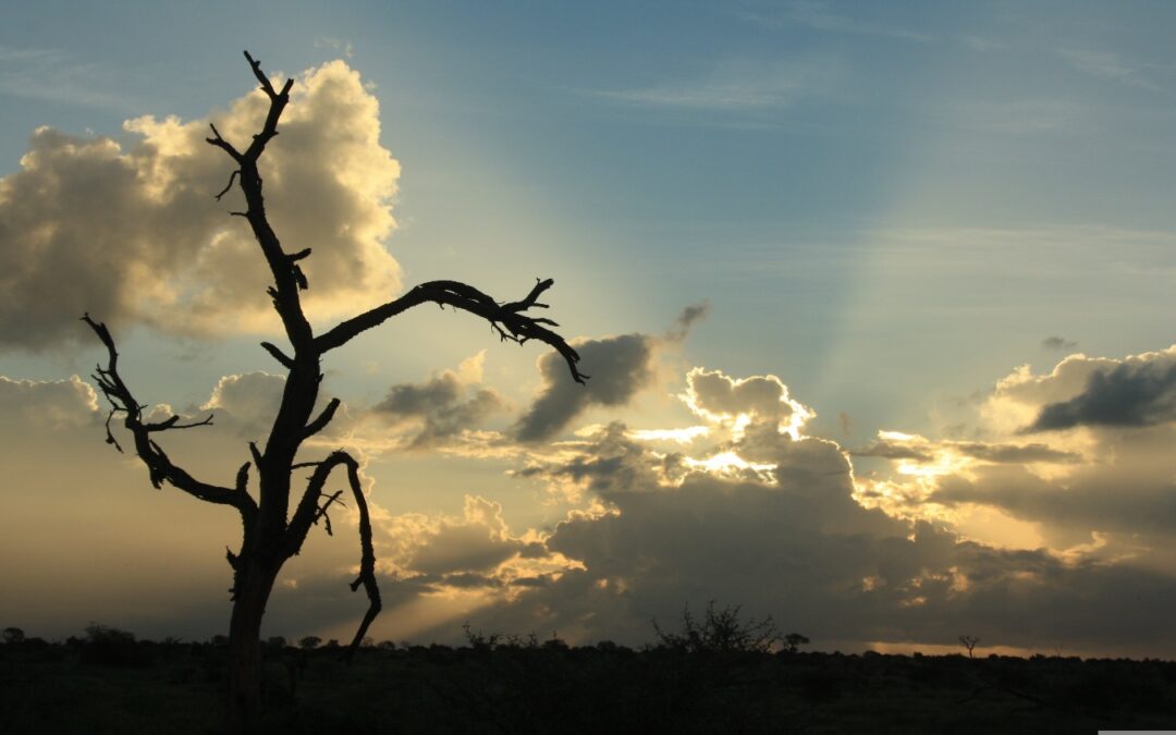 Holy Week Devotion – Monday